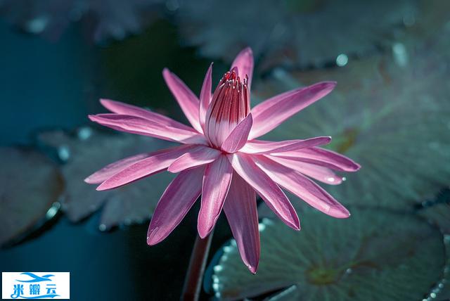 一个人想要走向成功:避免巴纳姆效应