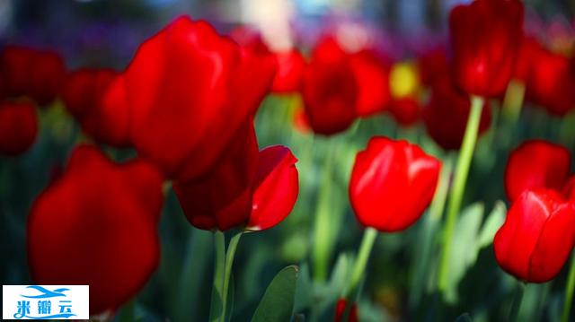 摆脱婚姻的束缚,克服巴纳姆效应,遭遇背叛的你便能不被痛苦...